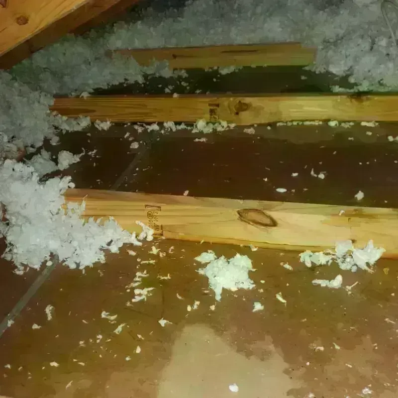 Attic Water Damage in Winter Beach, FL