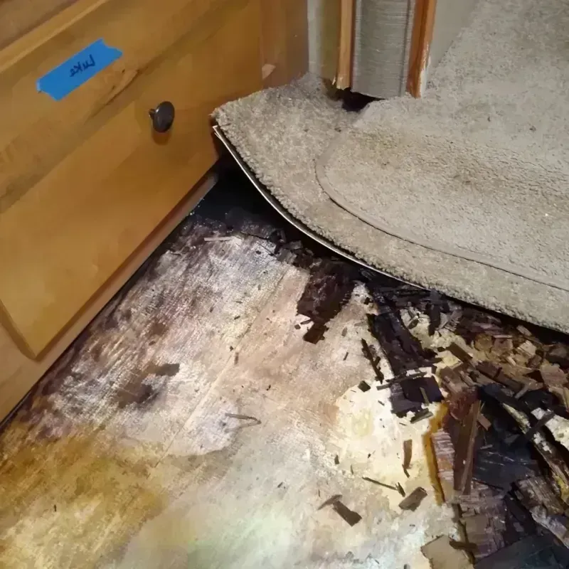 Best Wood Floor Water Damage Service in Winter Beach, FL